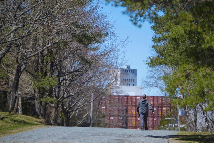 
A pedestrian strolls through Point Pleasant Park on Wednesday afternoon. HRM plans to cut or trim around 80,000 trees within the park this summer. - Ryan Taplin
