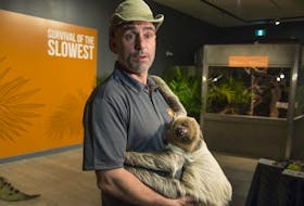 
Paul Goulet, founder of Little Ray’s Nature Centres, answers questions about the new Survival of the Slowest exhibition at the Discovery Centre while holding Lilo, a two-toed sloth on Thursday afternoon.
