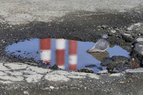 Halifax councillor urges pothole patience until asphalt plants get going