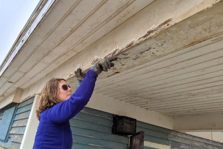 
Krista Taverner scrapes old paint off the main building at Lawrencetown Beach provincial park on Saturday. The Lawrencetown resident has surfed at the beach for about 10 years. - JOHN McPHEE

