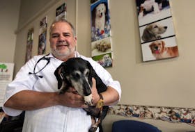 
Barry MacEachern with Buster, one of his client’s dogs, at the Burnside Veterinary Hospital. MacEachern is the subject of a new reality TV show by the same company which produced Hope For Wildlife. 
