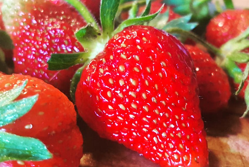 
Strawberries want to be in a sunny spot. Makes sense, the more sun ... the sweeter the fruit.
