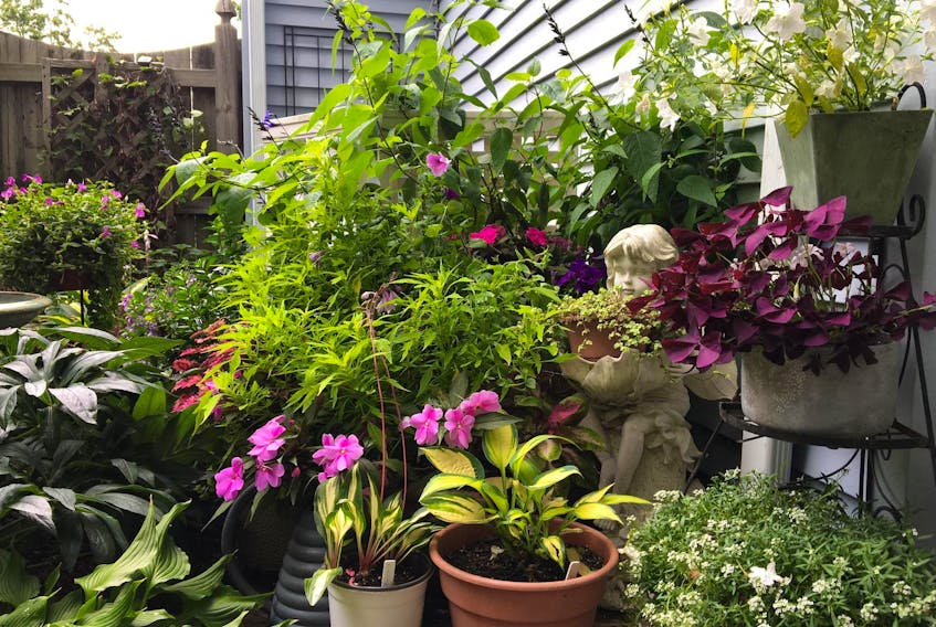 Group containers together to create a potted garden on a deck or patio.