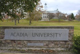 
Some are complaining about aggressive crows attempting to steal their lunch at Acadia University. - Ian Fairclough / File
