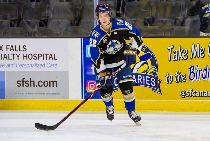 
Dartmouth’s Ethan Phillips had 43 points in 50 games with the USHL’s Sioux Falls Stampede this season. (Jasen Robbennolt/SIOUX FALLS STAMPEDE)
