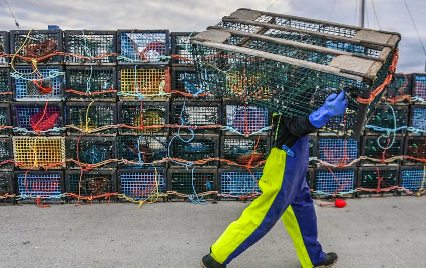  Lobster fishermen should be allowed to appoint substitute operators to fish their licences if they become disabled, argues fisheries lawyer Michel Samson.