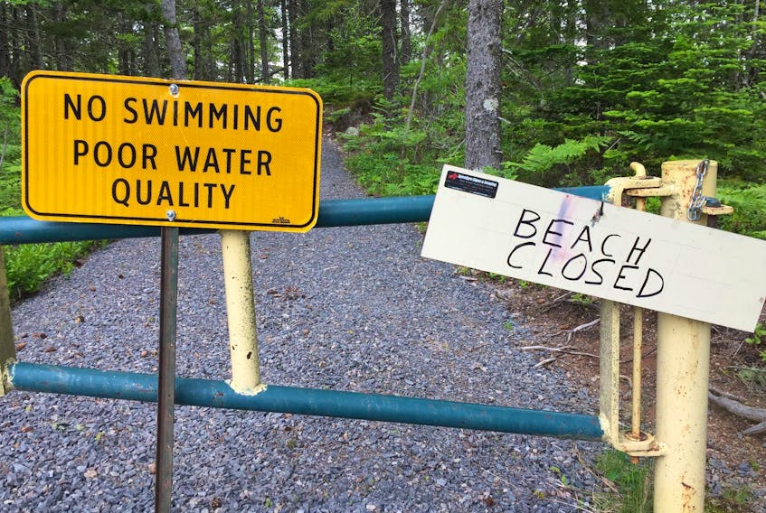 It is believed last week’s heavy rains washed bacteria from plant matter and animal and bird excrement into Aylesford Lake causing high E.coli counts resulting in the beach closure. 
