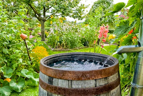 
Depending on your garden’s layout and your preference, you could have one large barrel or a few small barrels installed at different spots around the outside of the house. - Getty Images

