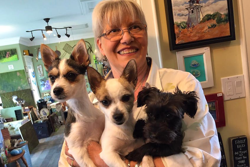 
Mary Nowee with her three dogs Thelma, Louise and Butch in her Not Me Art Gallery in Glen Haven, near Halifax. - Jen Taplin
