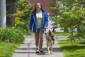 
Milena Khazanavicius and her German shepherd Louis go for a walk near their west-end Halifax apartment. 
