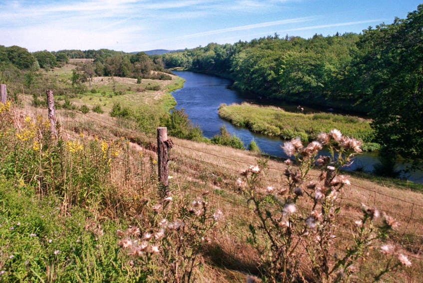 
The Annapolis River flows gently through the edges of a farmer’s field in Paradise. Much of the Annapolis Valley is lush, luminous and blessedly empty. - Mike Harvey / File
