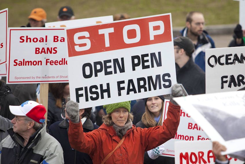 
Demonstrators protest open-pen salmon farms in Halifax in December 2012. - Ryan Taplin
