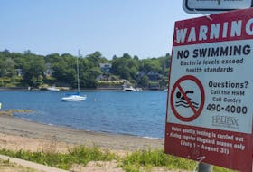
The Dingle Beach at Sir Sandford Fleming Park in Halifax has been closed to swimming. - File
