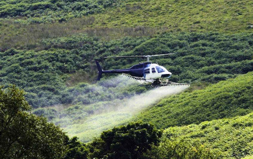
A helicopter applies a herbicide spray in a forested area. the Department of Environment announced approvals for spraying 954 hectares of privately owned woodland with Visionmax, a herbicide with glyphosate (also used in RoundUp) as an active ingredient. - 123RF
