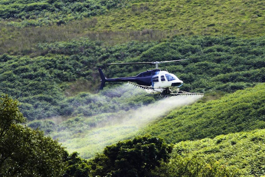 
A helicopter applies a herbicide spray in a forested area. the Department of Environment announced approvals for spraying 954 hectares of privately owned woodland with Visionmax, a herbicide with glyphosate (also used in RoundUp) as an active ingredient. - 123RF
