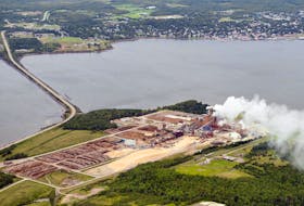 The Northern Pulp mill is seen in Abercrombie Point in 2014, with the Town of Pictou in the background. FILE

