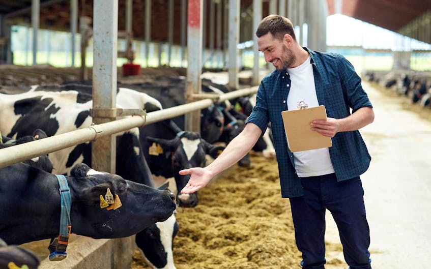 
Ottawa’s compensation program for dairy farmers, which will be coordinated by the Canadian Dairy Commission, will not cover potential losses incurred by dairy processors, artisan cheese makers, goat’s milk and cheese producers, or many other specially product makers. - 123RF

