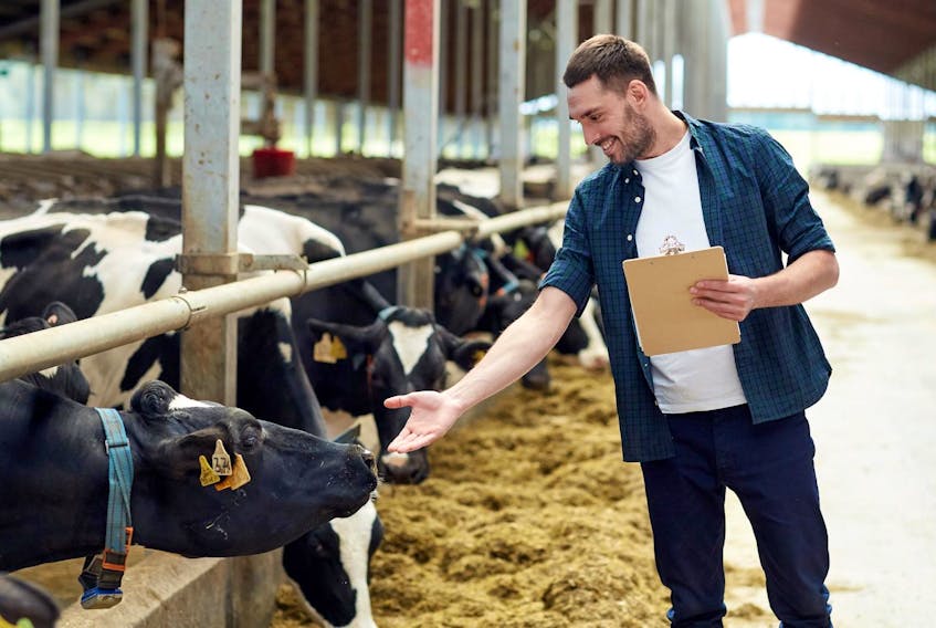 
Ottawa’s compensation program for dairy farmers, which will be coordinated by the Canadian Dairy Commission, will not cover potential losses incurred by dairy processors, artisan cheese makers, goat’s milk and cheese producers, or many other specially product makers. - 123RF
