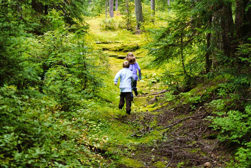 
The Nature Conservancy of Canada is urging people to spend more time outdoors. 
