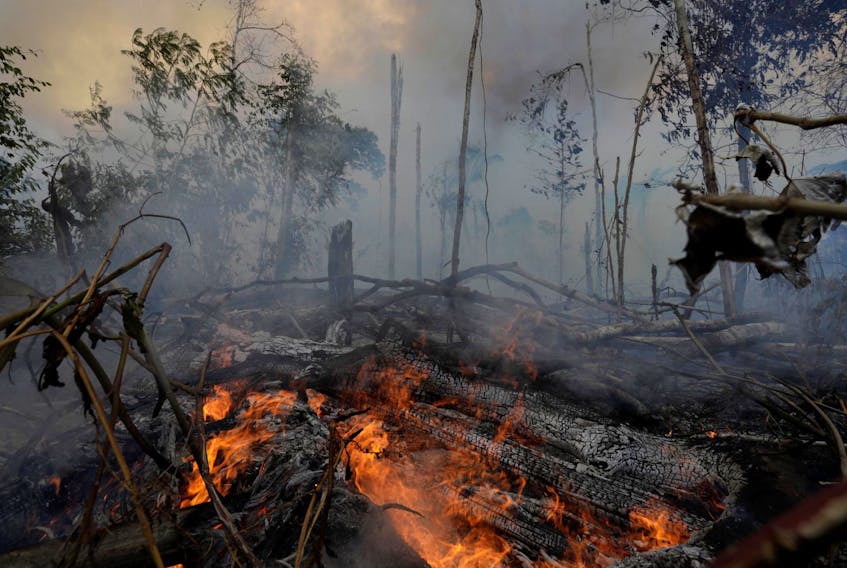 
A fire burns a tract of Amazon jungle as it is cleared by loggers and farmers near Porto Velho, Brazil on Aug. 27, 2019. - Reuters

