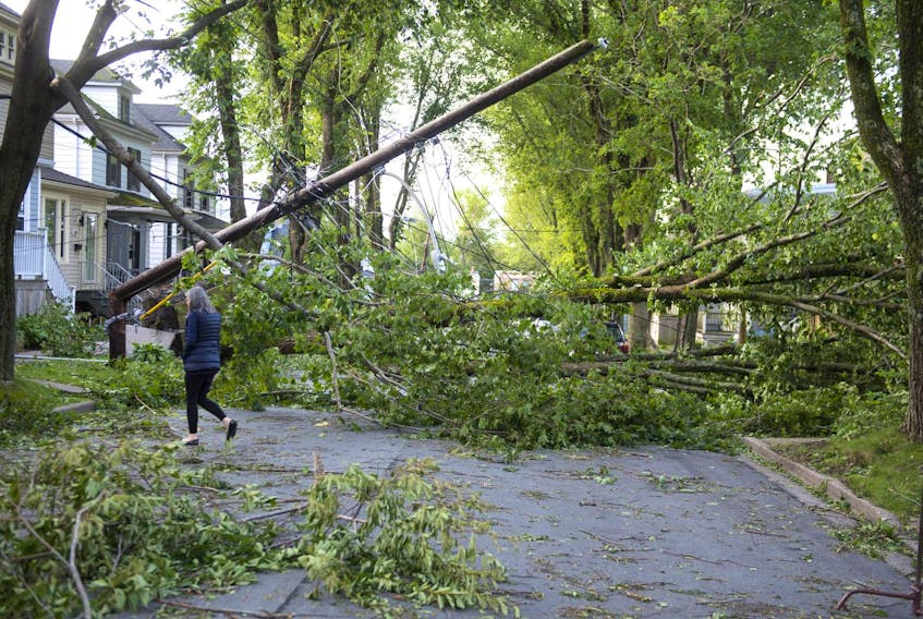 
Dorian took down trees throughout the region on the weekend. This damage could be seen Sunday morning, Sept. 8, 2019, on Kline Street in Halifax. - Ryan Taplin
