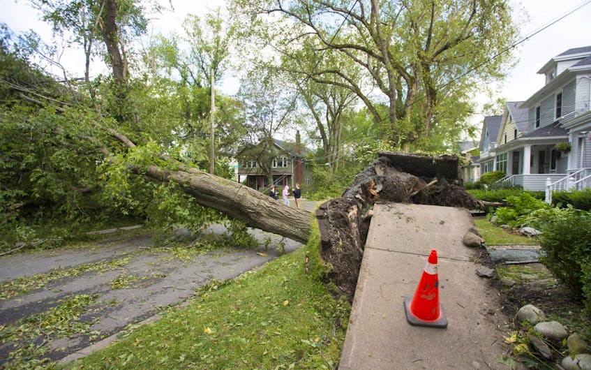 
Preston Street in south-end Halifax was hit particularly hard, with multiple trees and power lines knocked down during hurricane Dorian. Ryan Taplin - The Chronicle Herald
