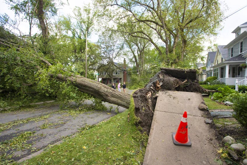 
Preston Street in south-end Halifax was hit particularly hard, with multiple trees and power lines knocked down during hurricane Dorian. Ryan Taplin - The Chronicle Herald
