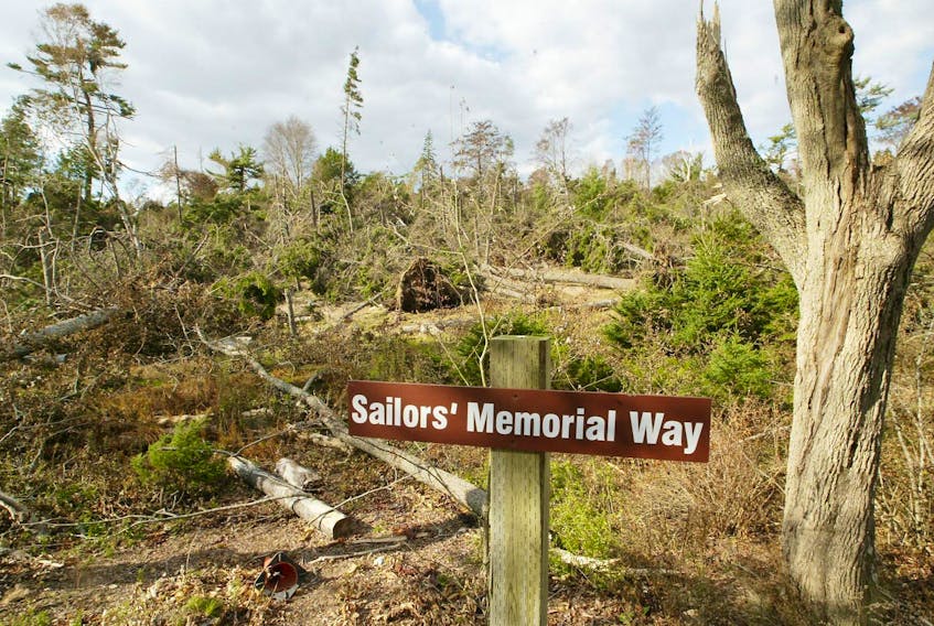 Fallen trees cover the ground along Sailors Memorial Way in Point Pleasant Park in the wake of hurricane Juan in September 2003.