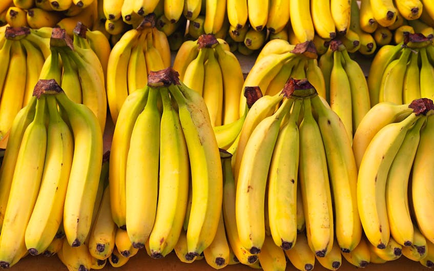 
Bananas are a major staple in Canadians diets; more than nine per cent of all fruit imported into Canada are bananas worth more than $600 million annually. The average Canadian will consume more than 15 kilograms of bananas per year. - 123RF
