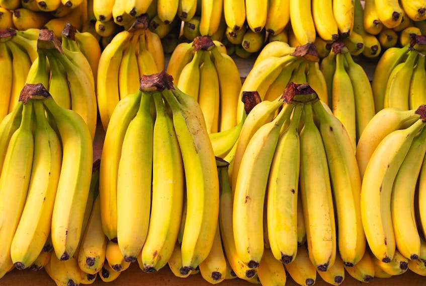 
Bananas are a major staple in Canadians diets; more than nine per cent of all fruit imported into Canada are bananas worth more than $600 million annually. The average Canadian will consume more than 15 kilograms of bananas per year. - 123RF
