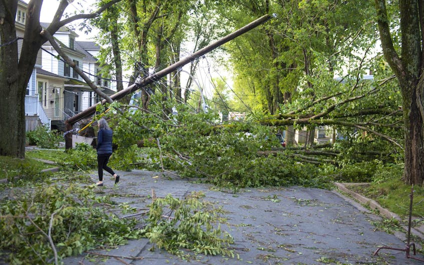 
Hurricane Dorian took down trees throughout the region. Dorian was a category 5 storm when it hit the Bahamas, but was downgraded to a post-tropical storm when it made landfall in Nova Scotia. This damage occurred on Kline Street in Halifax. - Ryan Taplin
