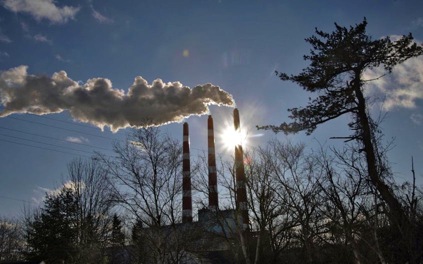 
Nova Scotia Power’s Tufts Cove generating plant is seen in this 2009 file photo. The province has put out a tender looking for someone to study carbon offset credits. - Tim Krochak


