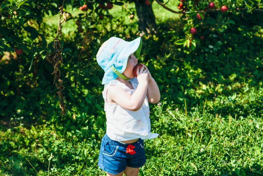 
With baby animals, homemade baked treats, and fields and orchards filled with fresh produce, Dempsey Corner Orchard is a favourite for our family. Apple picking is at the top of our list this fall. - Kelly Neil
