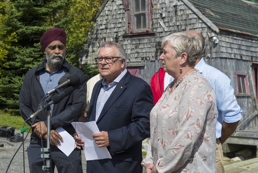 
A spokesman for Public Safety Minister Ralph Goodale, centre, said ‘by law, once all avenues of appeal are exhausted, CBSA must enforce removal orders as soon as possible.’ - File

