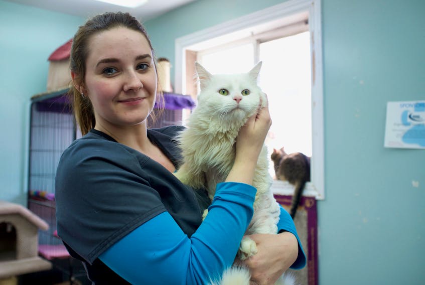 Holding Twinkie, Robyn Paul has been with the Gander and Area SPCA for the past three years. She calls the current quarters cramped and is looking forward to the completion of the non-profit organization’s new shelter.