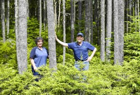 Pat and Peter Spicer stand in their Spencer’s Island property, the home of Seven Gulches Forest Products. File
