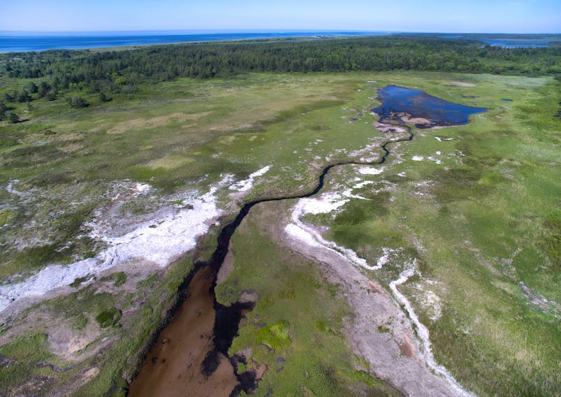 The Nature Conservancy of Canada announced on Friday, July 6, the acquisition of 128 acres of land for conservation purposes at Blooming Point.