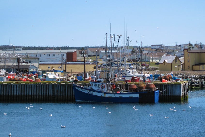 Boats involved in the snow crab fishery are seen at Bonavista in this file photo.