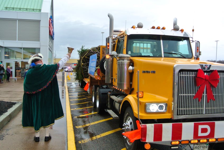 New Glasgow town crier Jim Stewart welcomes the truck carrying the Boston Christmas tree as its arrives in Amherst early Sunday. The tree was in Amherst for a brief stop over before crossing into New Brunswick on its way to Boston Common.
