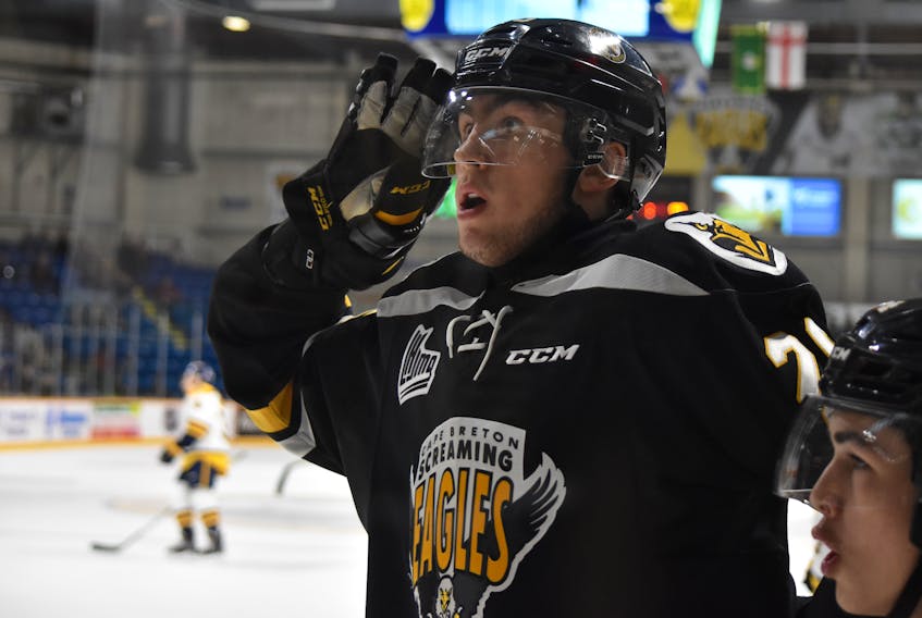 Egor Sokolov, shown in this file photo, was the hero for the Cape Breton Screaming Eagles in their 3-2 overtime win over the Saint John Sea Dogs on Wednesday at Centre 200. Cape Breton hosts the Acadie-Bathurst Titan tonight and the Sherbrooke Phoenix on Saturday.