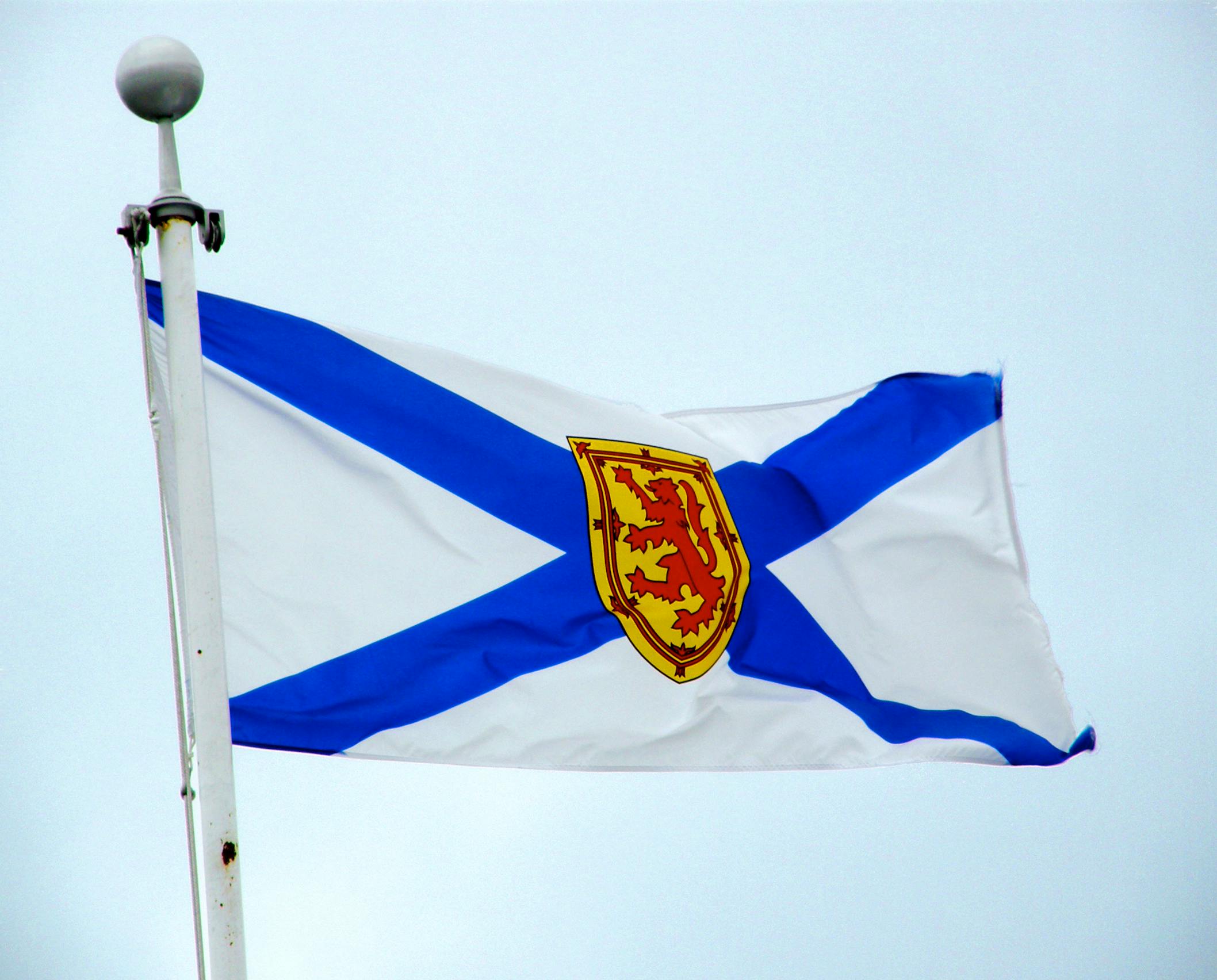 Звезда андреевский флаг. Флаги Nova Scotia. Флаг "Андреевский". Георгиевский Андреевский флаг. Морской флаг Шотландии.