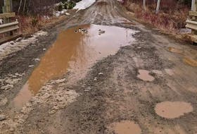 Some ducks made themselves at home in a large puddle recently found on the Orangedale-Iona Road, that is also known as Alba Road. Residents are not happy with the road’s condition.