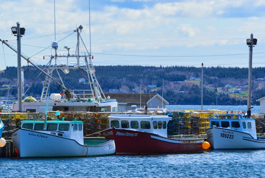 Fishing boats are seen at the Ballast Grounds in North Sydney in this May 2016 file photo. The Cape Breton Fish Harvesters Association has applauded the federal government’s amendments to the Fisheries Act, which were introduced in the House of Commons on Tuesday morning.