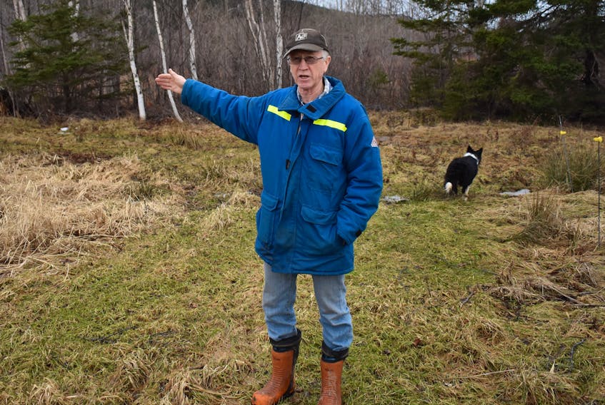 In this file photo, Big Pond Centre resident Roy McInnis stands near the boundary where his farm meets the land proposed for a large-scale RV park and campground. McInnis is one of many area residents opposed to the development. An application to amend the CBRM’s land-use bylaw to allow for the project is back before council today at city hall.