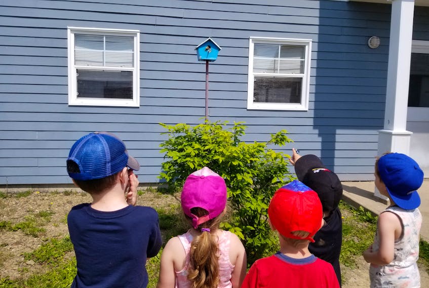From left to right, Jaxon Reeves, 5, Ava MacPherson, 4, Jaxon Donovan, 4, Hudson Gracie, 4, and Owen Coombs, 4, were excited to see two chicks taking up the nest outside the Town Daycare Tuesday morning in Glace Bay.