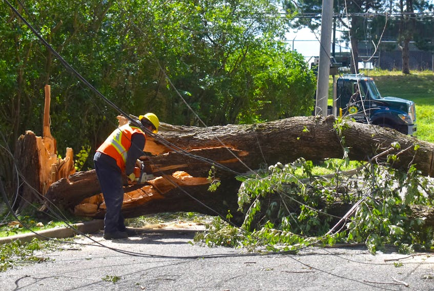 A worker uses a chainsaw to cut up a large tree that fell across Pleasant Street in Sydney’s historic and heavily-treed north end. CBRM Mayor Cecil Clarke said the public works department’s preparedness including the purchase of new chainsaws to help deal with the expected aftermath of the post-tropical storm that raced across Cape Breton over the weekend.