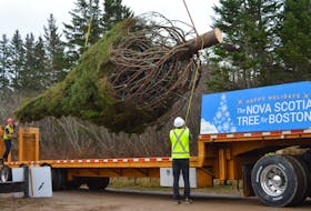 A 43-foot tall white spruce is loaded onto a flatbed truck for the first part of a journey that will eventually take the Richmond County-harvested tree to downtown Boston as a symbol of Nova Scotia’s appreciation for the assistance the Massachusetts city sent to Halifax following the infamous 1917 explosion. Donated by landowners Tony and Heather Sampson of Dundee, this year’s gift will be unveiled in Boston in early December.