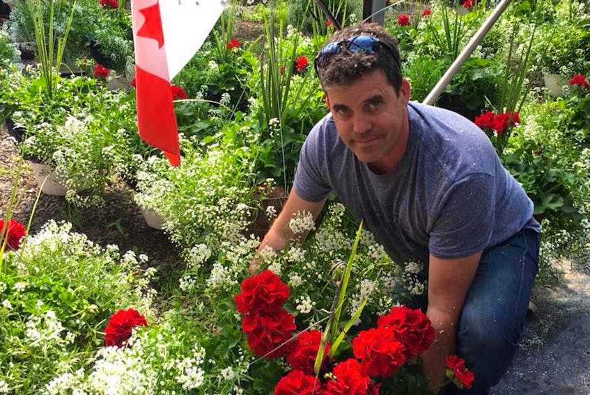 James Sawler, owner of Mabou Gardens, has about 200 commercial potted hanging baskets to sell after the Cape Breton Regional Municipality cancelled its blossoming project due to tight budgetary times. Sawler is seen here last spring with the ornamental flowers that dressed up the streetscape in the downtowns around the CBRM, which were made into red and white arrangements meant to celebrate Canada’s 150th birthday.