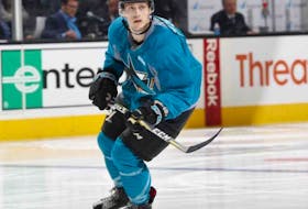 Cavan Fitzgerald of the San Jose Barracuda is shown during American Hockey League action earlier this season. Fitzgerald, who began his hockey career in Cape Breton, is currently in his rookie season with the AHL team.