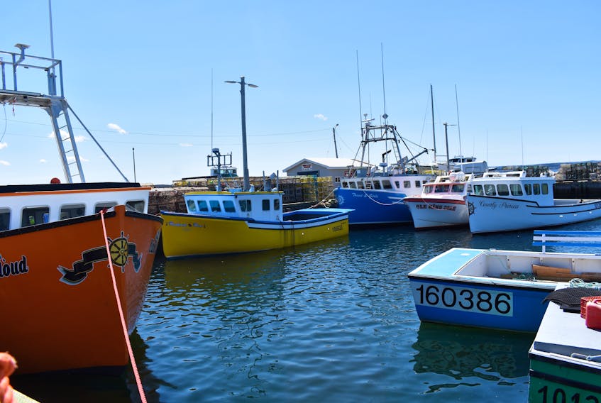 Captains and crew of these fishing vessels in North Sydney mourned the loss of two fishermen in Port Hood over the weekend.